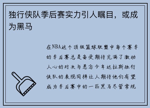 独行侠队季后赛实力引人瞩目，或成为黑马